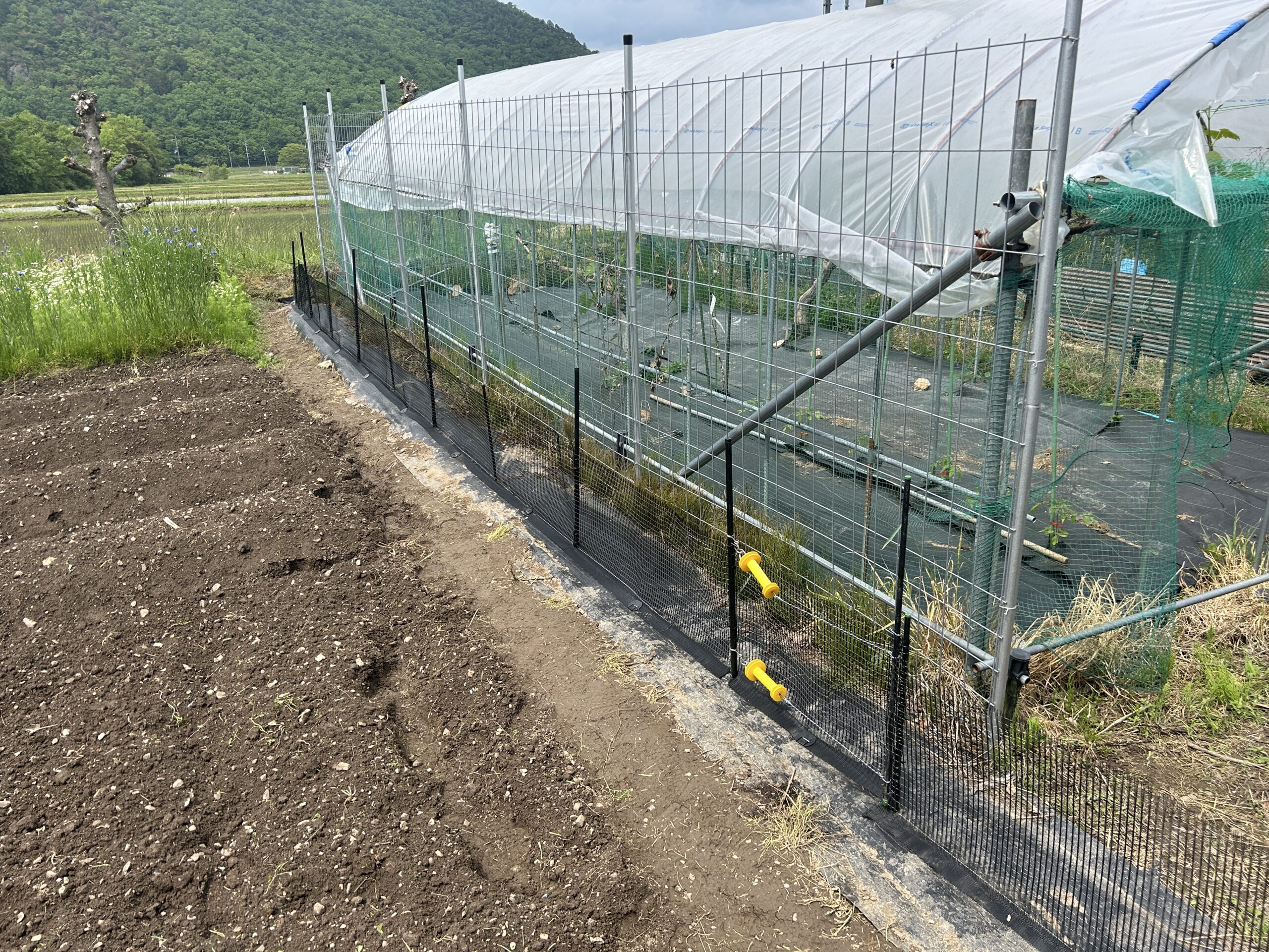 小動物の農地侵入を防ぐ